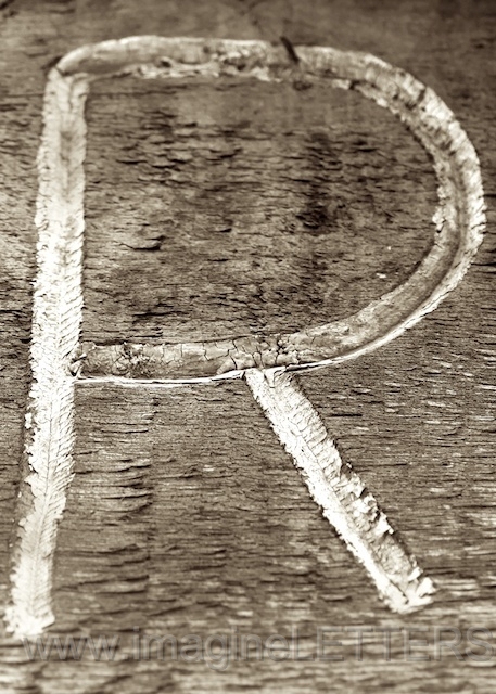 Wall_Art_Alphabet_Photography_Art_ 1922.jpg
